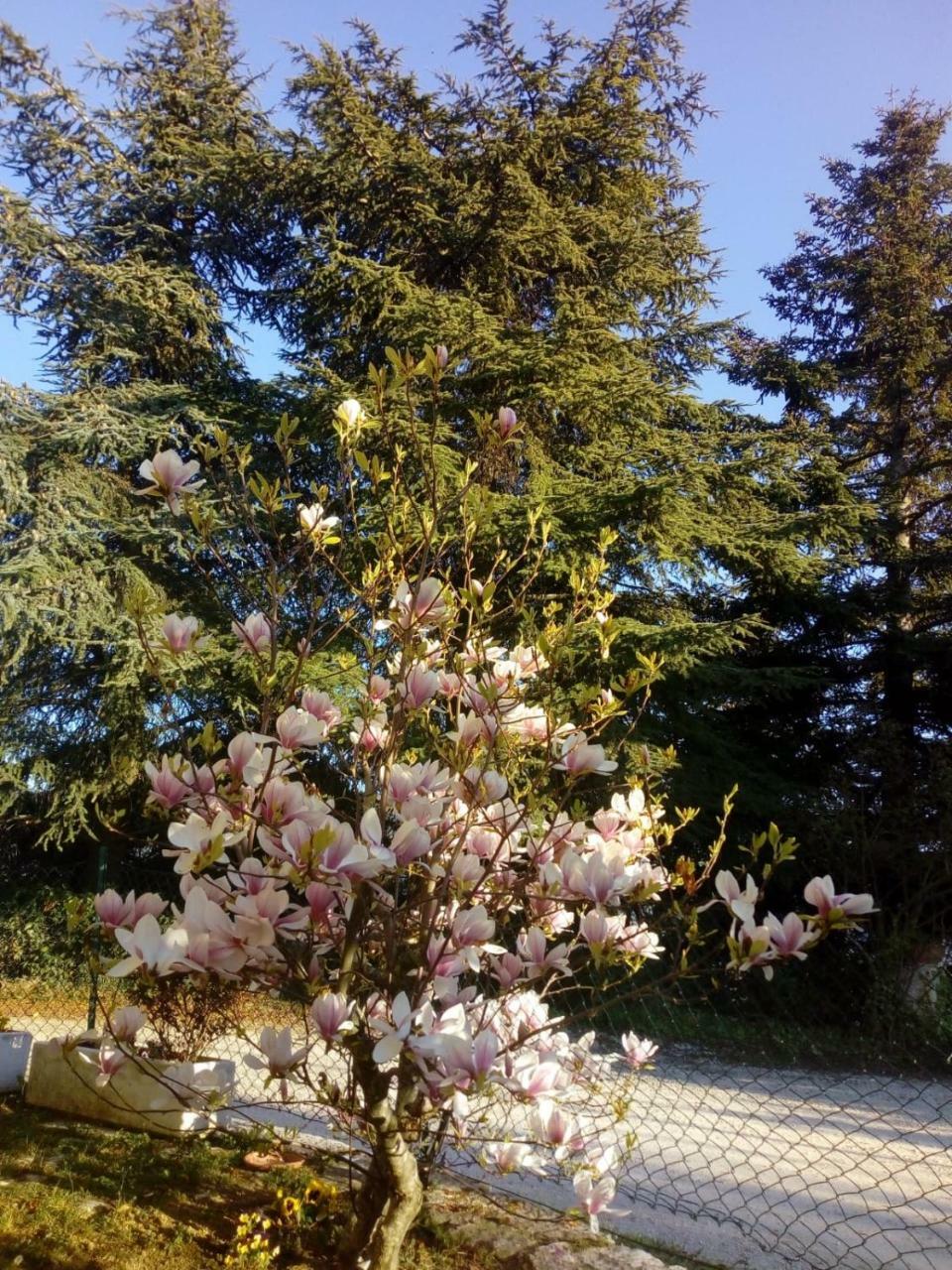 B&B Casale Giovannozzi 아스콜리피체노 외부 사진